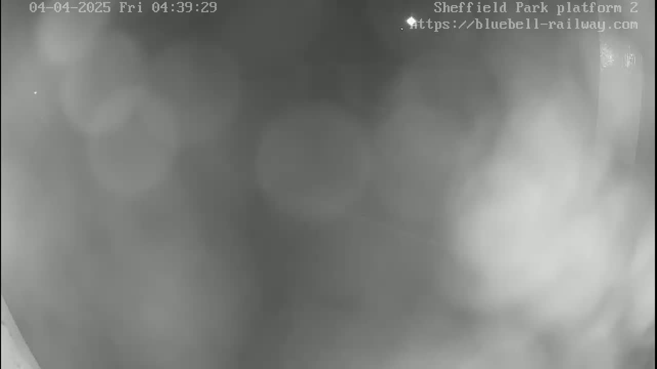 A blurry, grayscale image shows a foggy or misty outdoor scene at night.