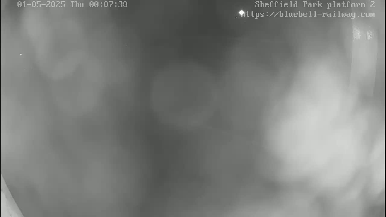 A blurry, grayscale nighttime image shows a mostly obscured outdoor scene with heavy fog or mist.