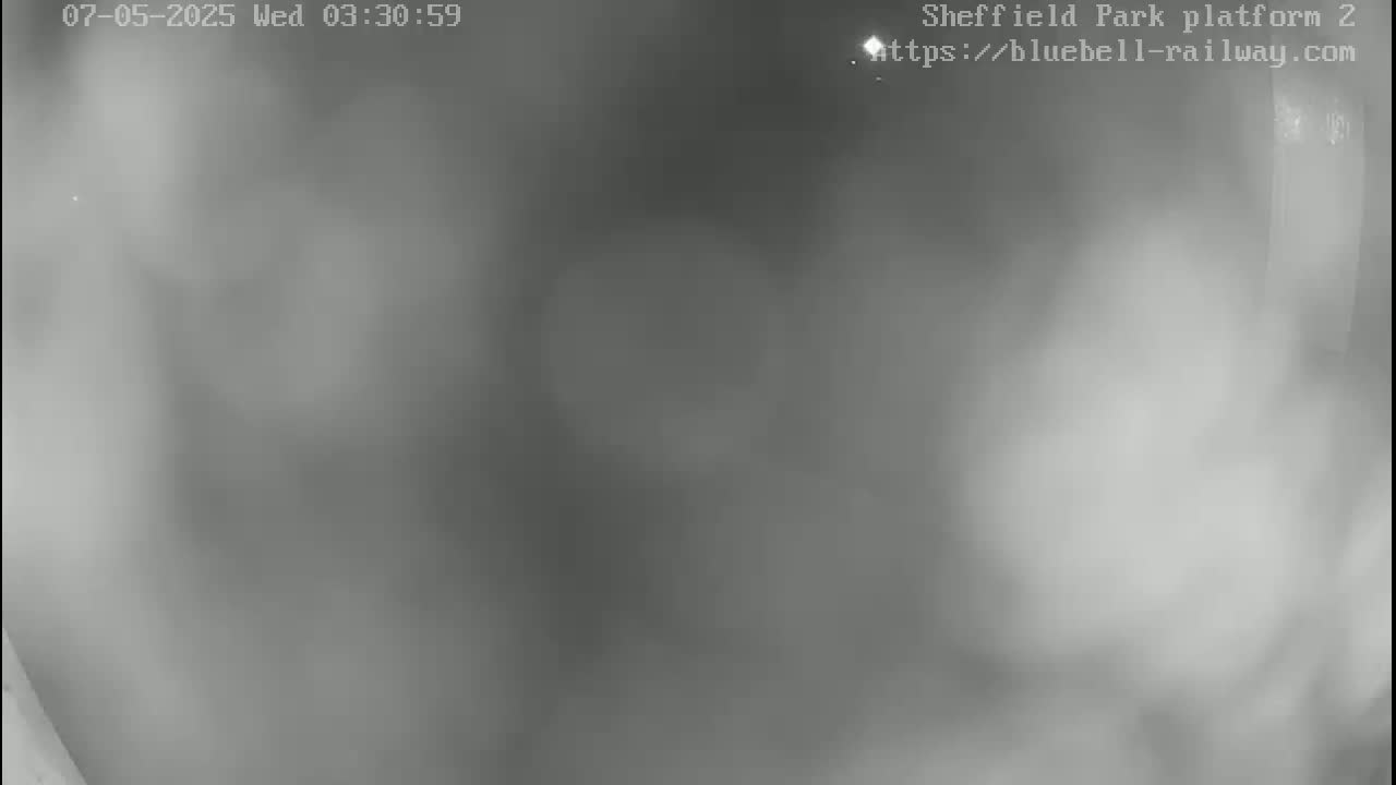 A blurry, grayscale image shows a foggy or misty outdoor scene at night.