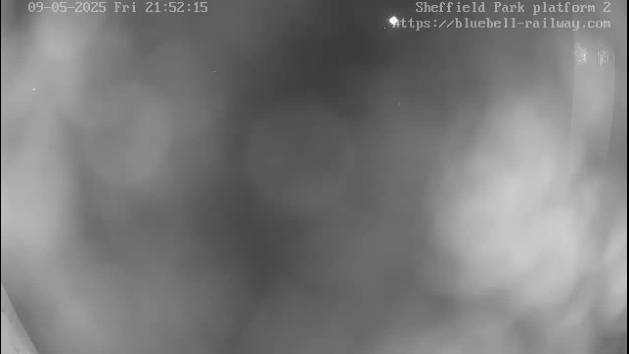 A blurry, low-light grayscale image shows a nighttime scene with foggy or hazy conditions.
