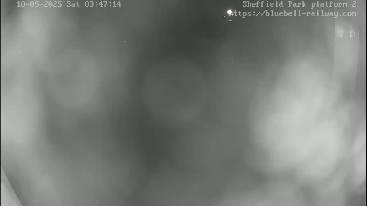 A blurry, grayscale image shows a dark, foggy or smoky scene at night.