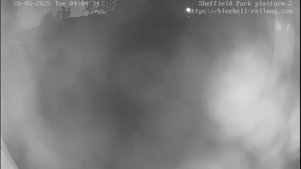 A blurry, foggy grayscale image shows an outdoor scene at night.