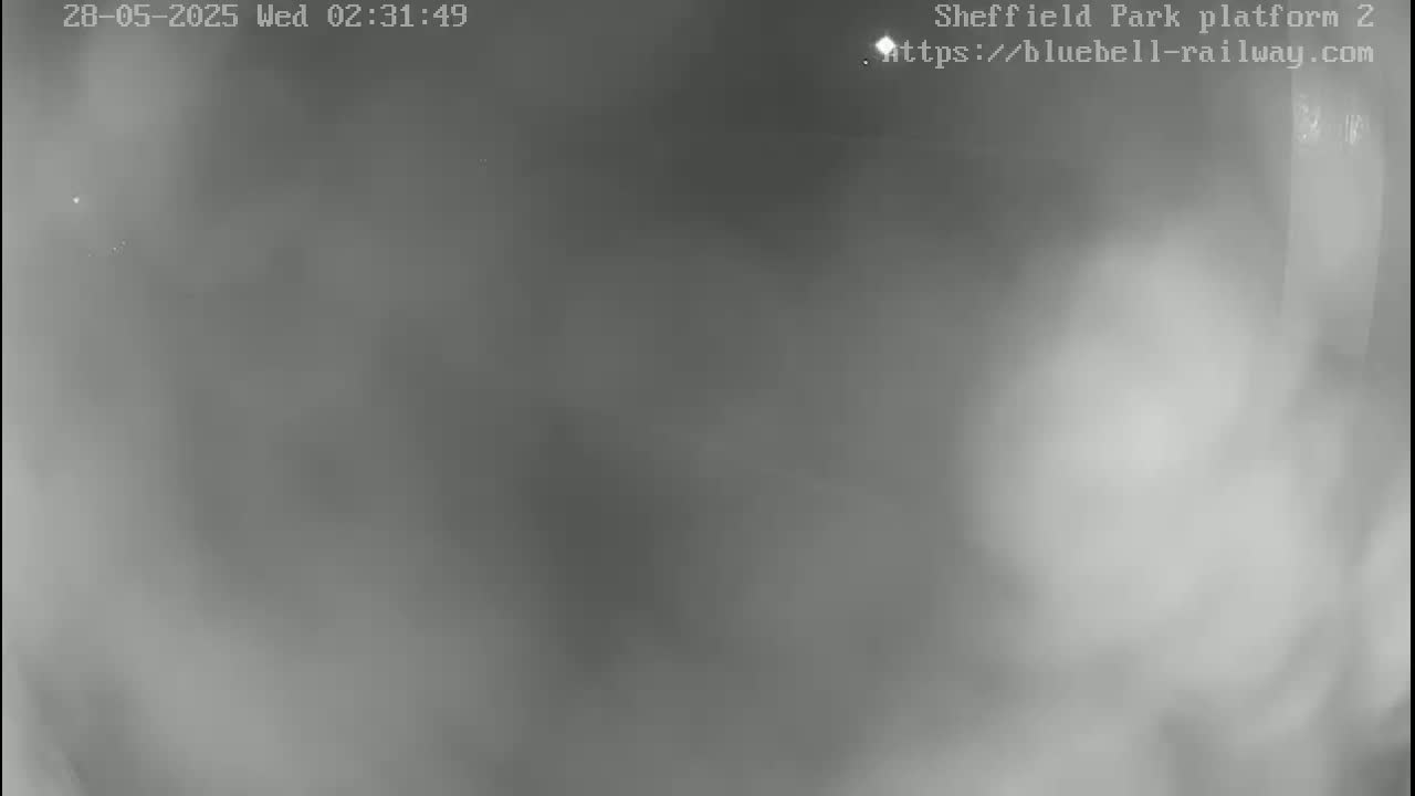 A blurry, grayscale image shows a mostly featureless scene at night, possibly taken outdoors in foggy conditions.