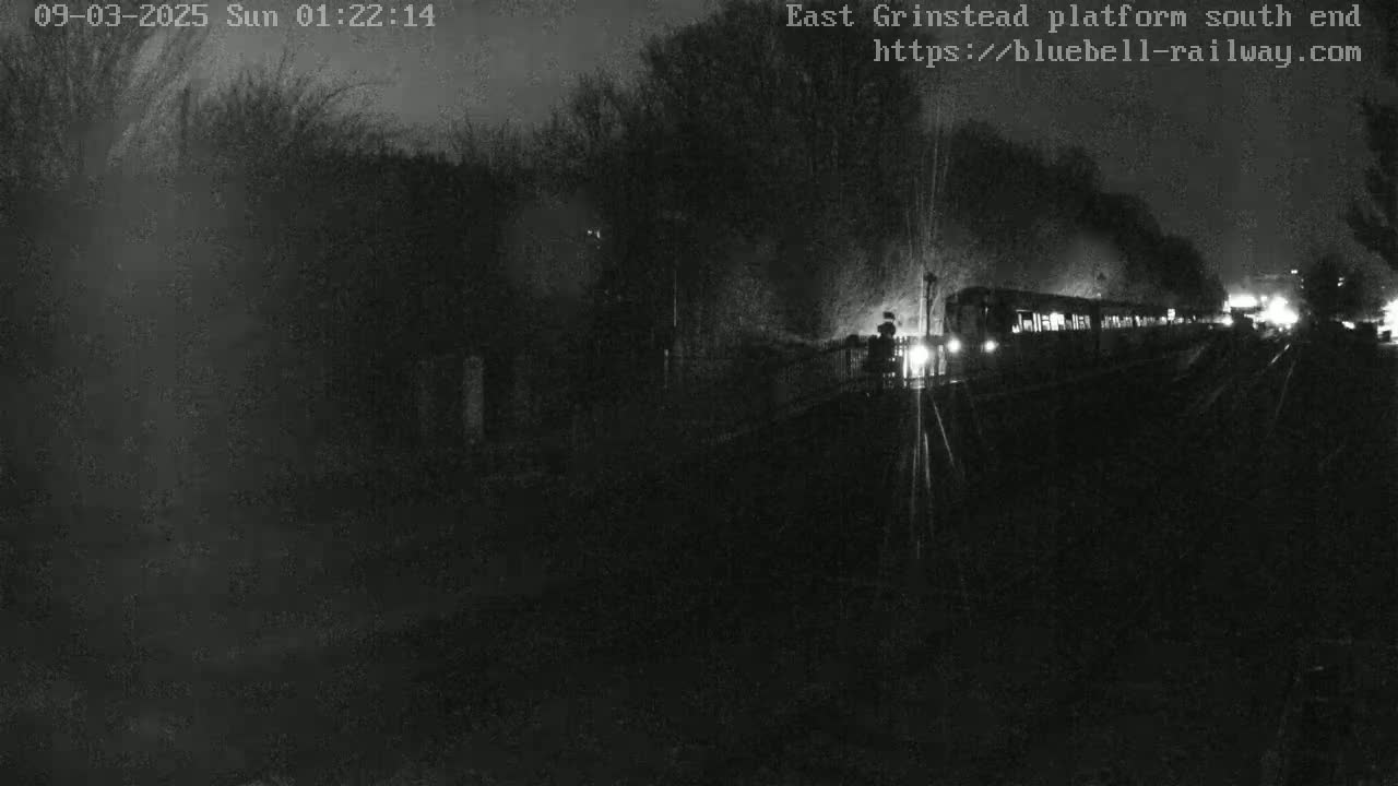 A dimly lit nighttime scene shows a train passing by a platform surrounded by dark trees.