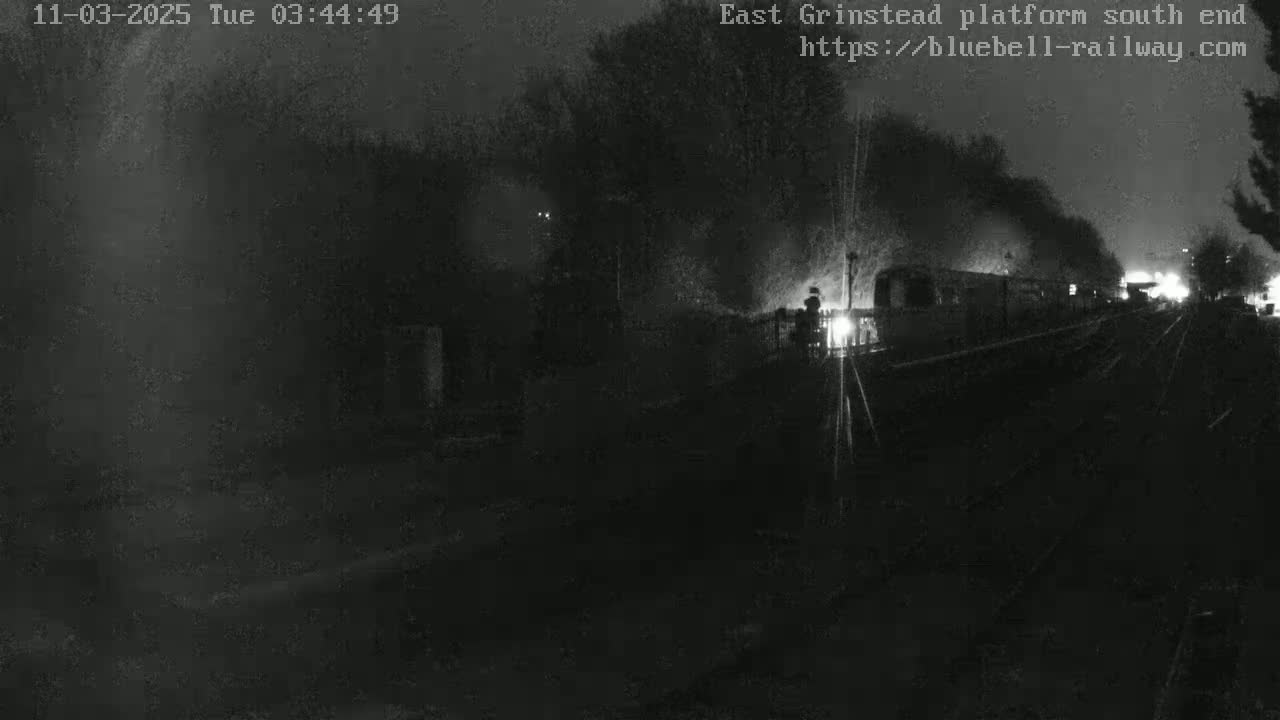 A dimly lit train departs a nighttime station, emitting smoke into the dark, tree-lined surroundings.