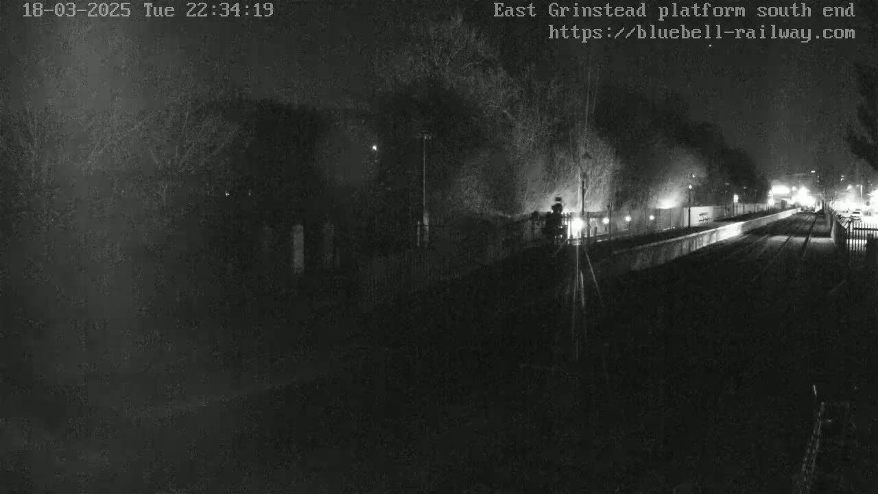 A nighttime view of a train arriving at a dimly lit platform, surrounded by trees under dark skies.