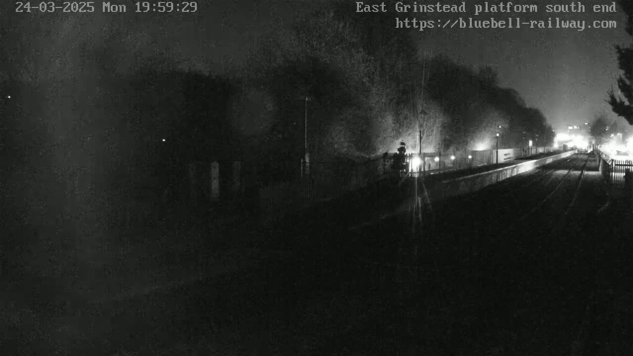 A nighttime, low-light view of a train arriving at a dimly lit platform, partially obscured by trees and fog.