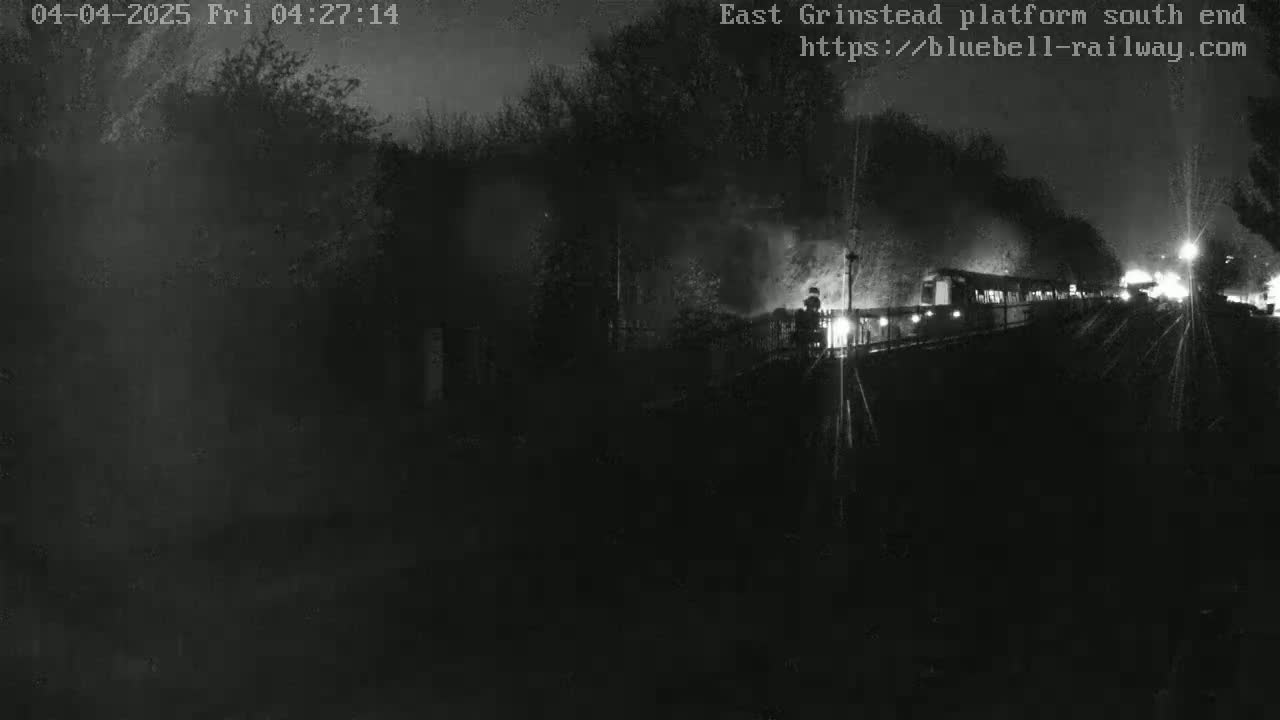 A dimly lit nighttime scene shows a train partially obscured by darkness and trees.