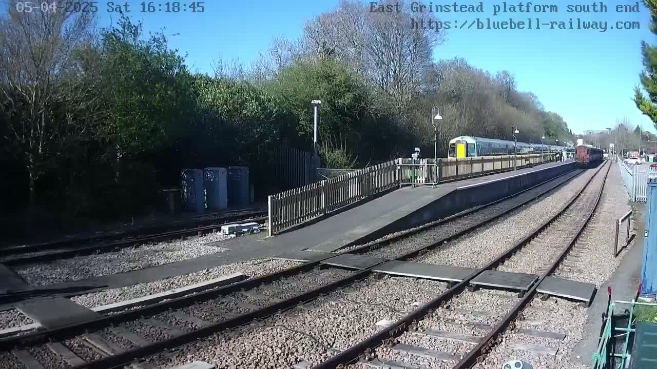 A train is at a station on a sunny day, with a treeline visible behind the platform.