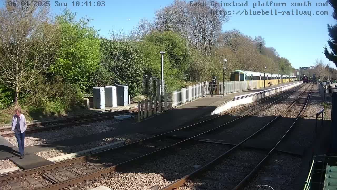 A sunny day at a train station shows a long train at the platform, a person walking on the tracks, and trees and shrubbery surrounding the station.
