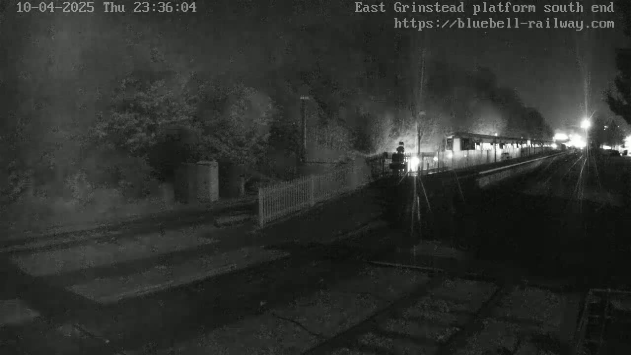 A nighttime, low-light view of a train at a platform, partially obscured by trees and fog.