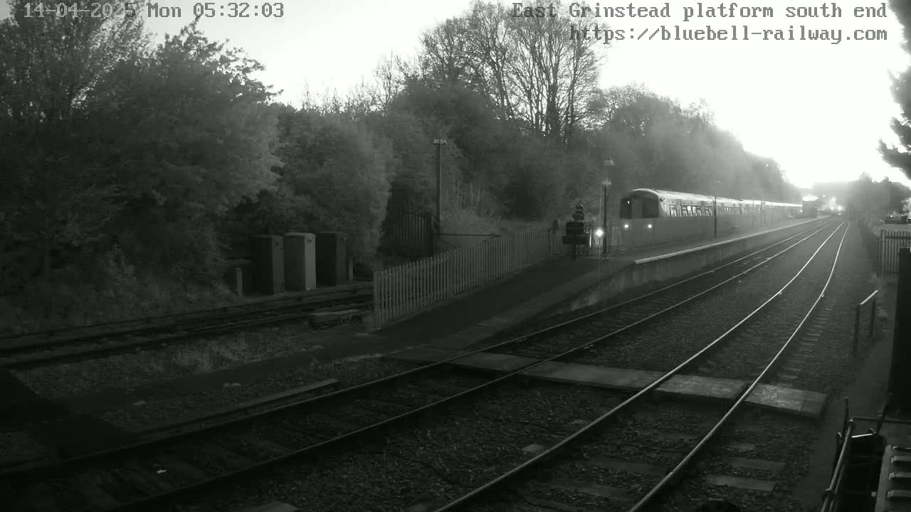 A train sits at a station platform on a misty morning.