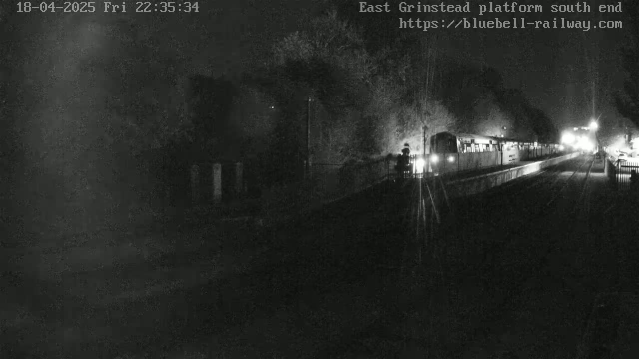 A train is at a nighttime station platform, partially obscured by darkness and trees.