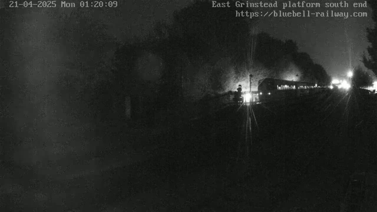 A dimly lit train is visible at night, partially obscured by shadows and darkness.
