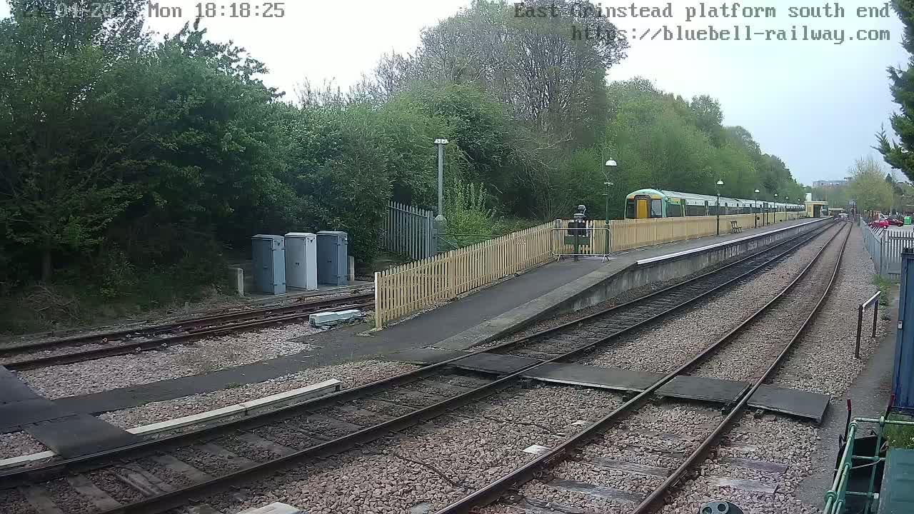 A train sits at a station platform next to a wooded area under an overcast sky.