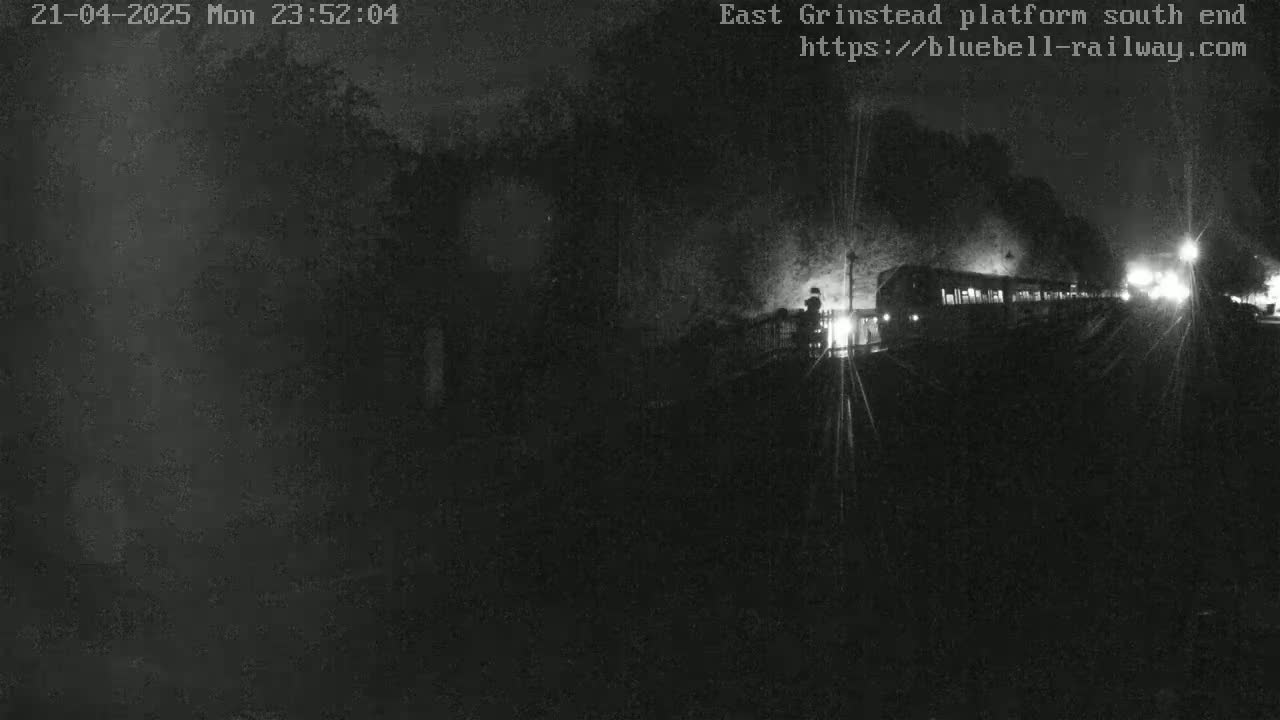 A train departs at night from a dimly lit platform, surrounded by dark trees.