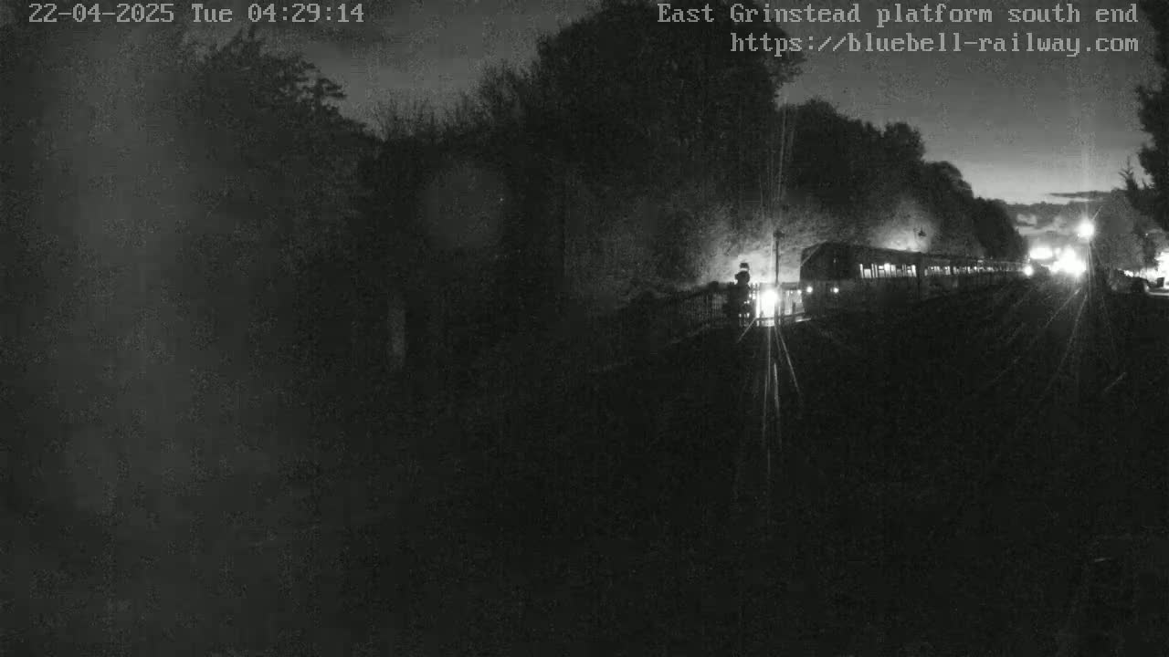 A nighttime, low-light image shows a train departing a station, partially obscured by trees and darkness.
