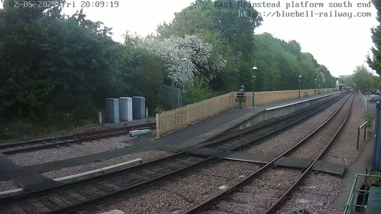 A train platform with two sets of tracks extends into the distance, under an overcast sky, surrounded by lush green vegetation and a flowering tree.