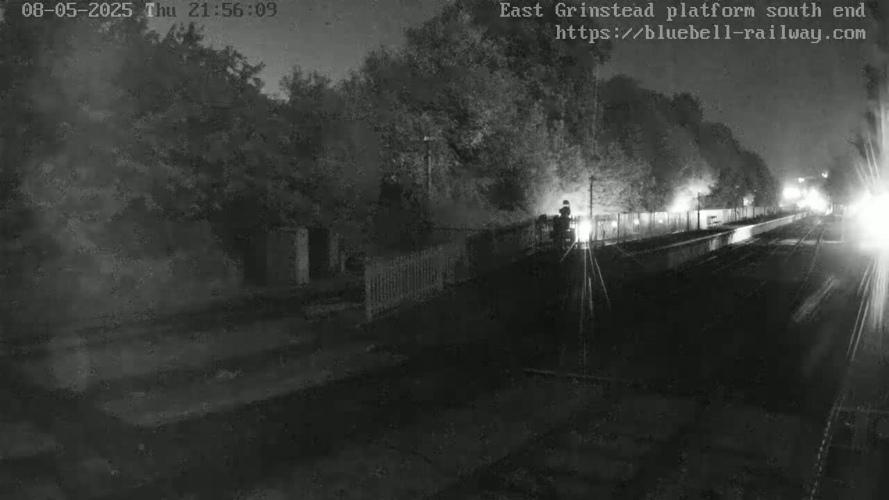 A nighttime, low-light view of a train platform, partially obscured by trees and shadows, with a figure standing near the edge of the platform.