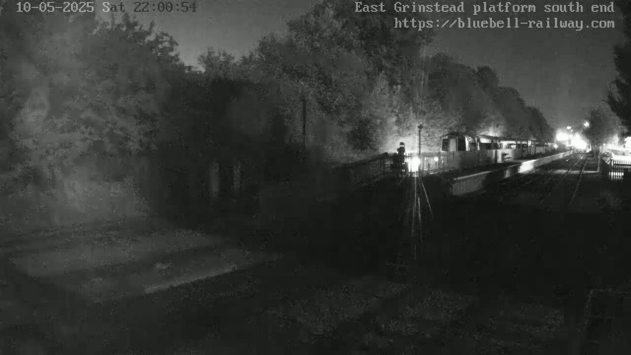 A nighttime, low-light view shows a train at a platform partially obscured by trees and shadows.