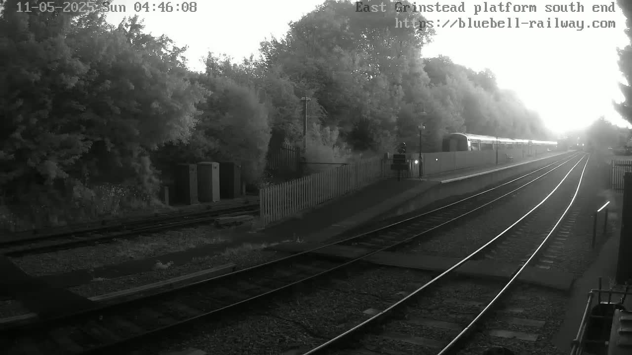A train sits at a station platform next to trees on a bright, sunny morning.