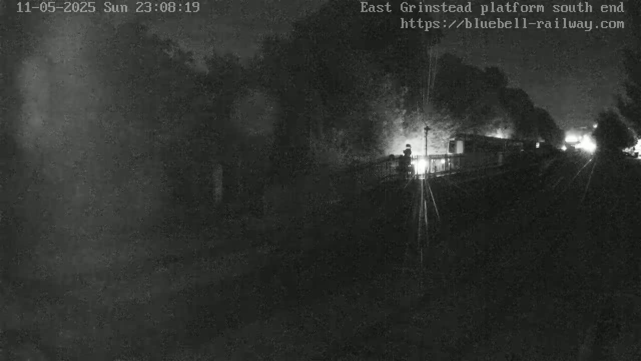 A nighttime, low-light image shows a train at a platform partially obscured by trees and darkness.
