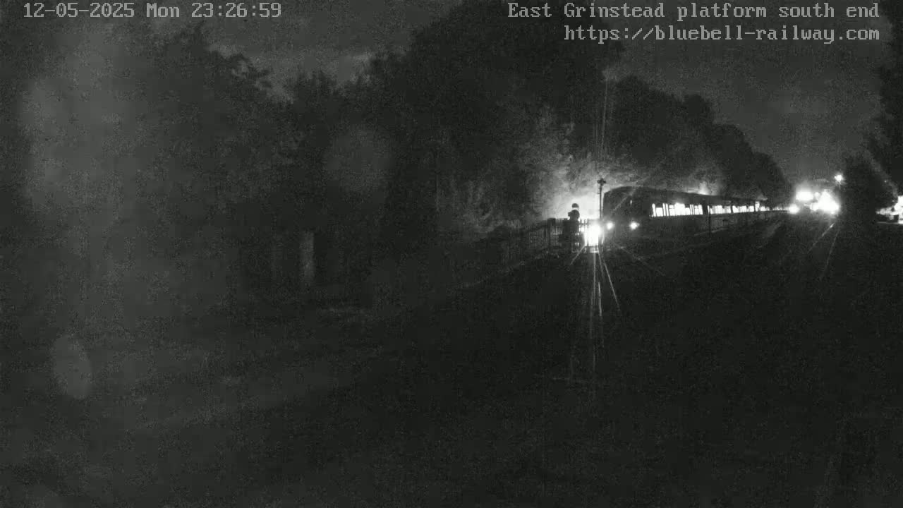 A nighttime, low-light image shows a train arriving at a platform surrounded by dark trees.