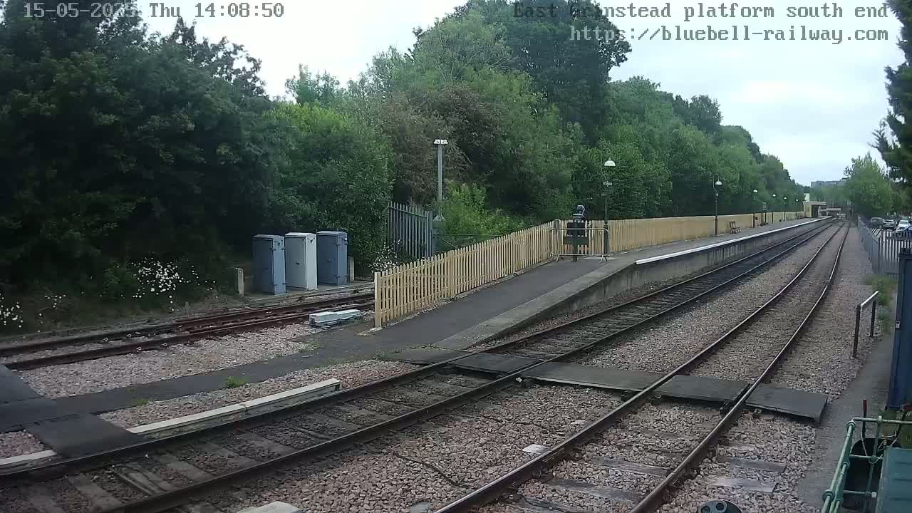 A train platform with several tracks extends into the distance, surrounded by lush green trees under an overcast sky.