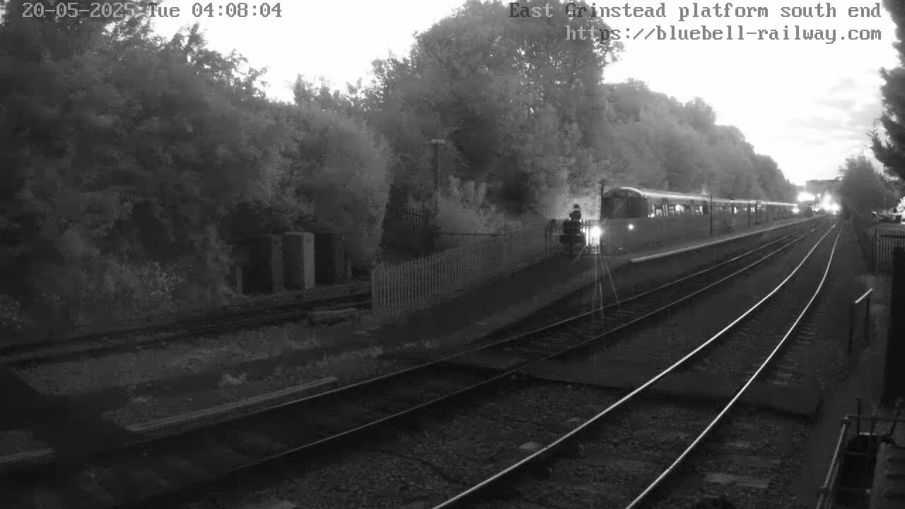 A train sits at a station platform at dusk, surrounded by trees and railway tracks.