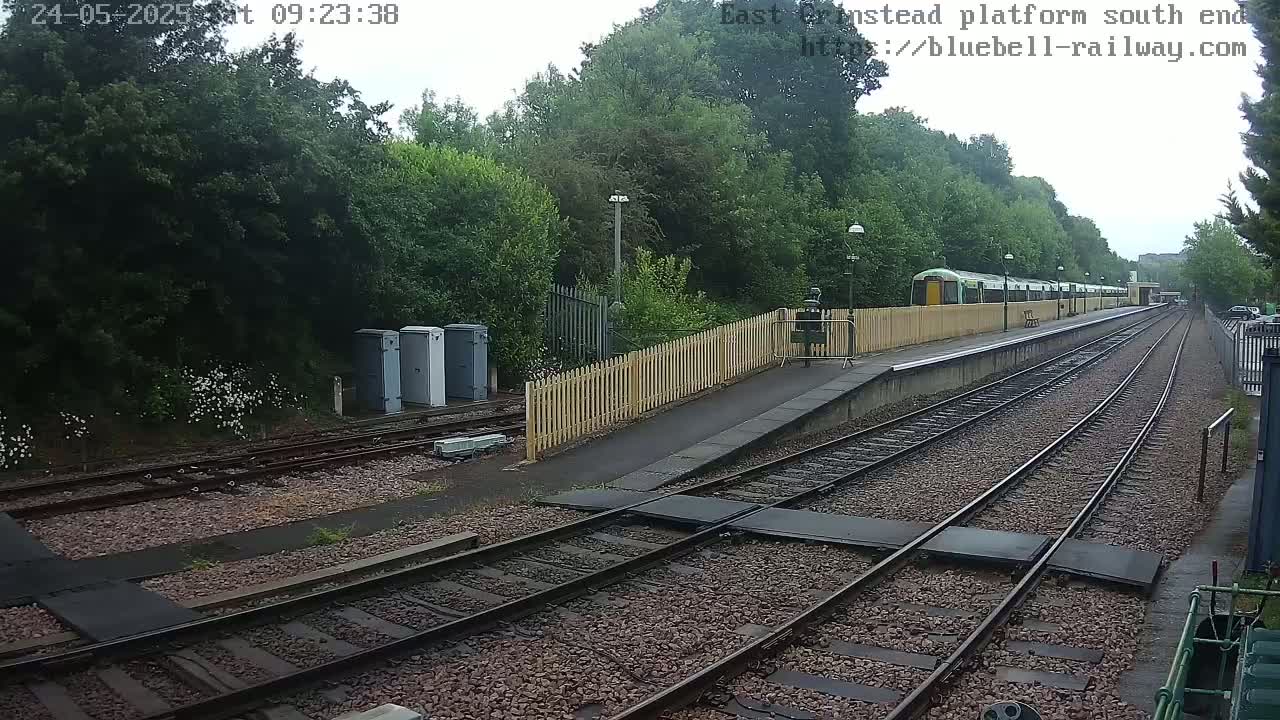 A train sits at a station platform next to a wooded area on an overcast day.