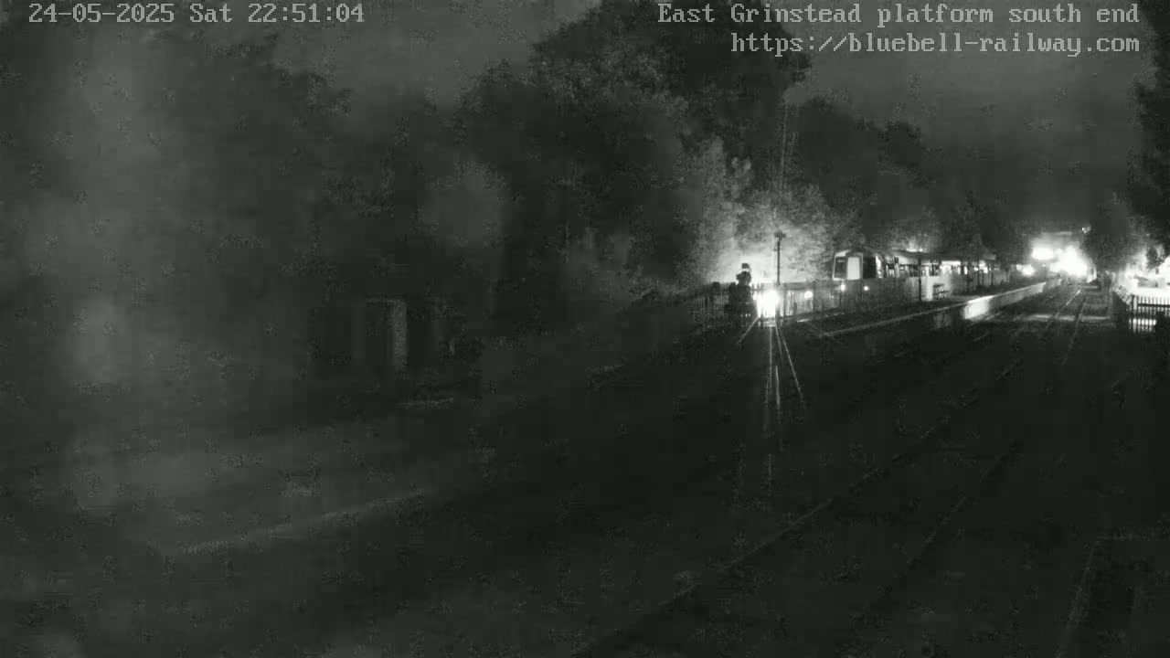 A dimly lit nighttime view of a train at a station platform, partially obscured by shadows and trees.