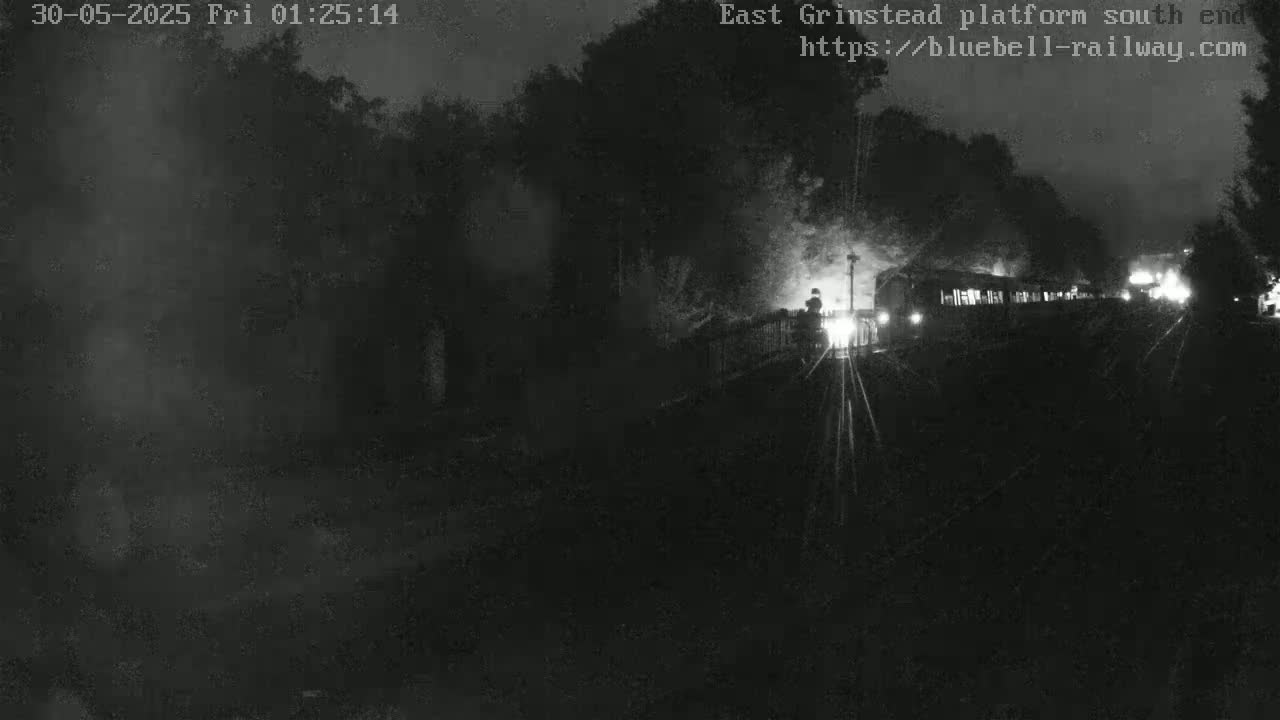 A nighttime, low-light view shows a train partially obscured by darkness and trees.
