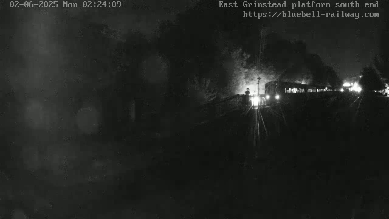 A dimly lit train sits at a nighttime platform surrounded by dark trees and shrubbery.