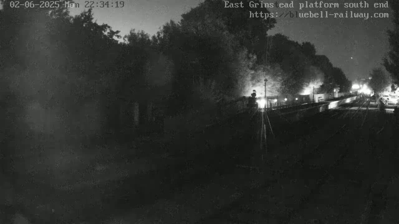 A nighttime, low-light view shows a train platform partially obscured by trees and fog or smoke.