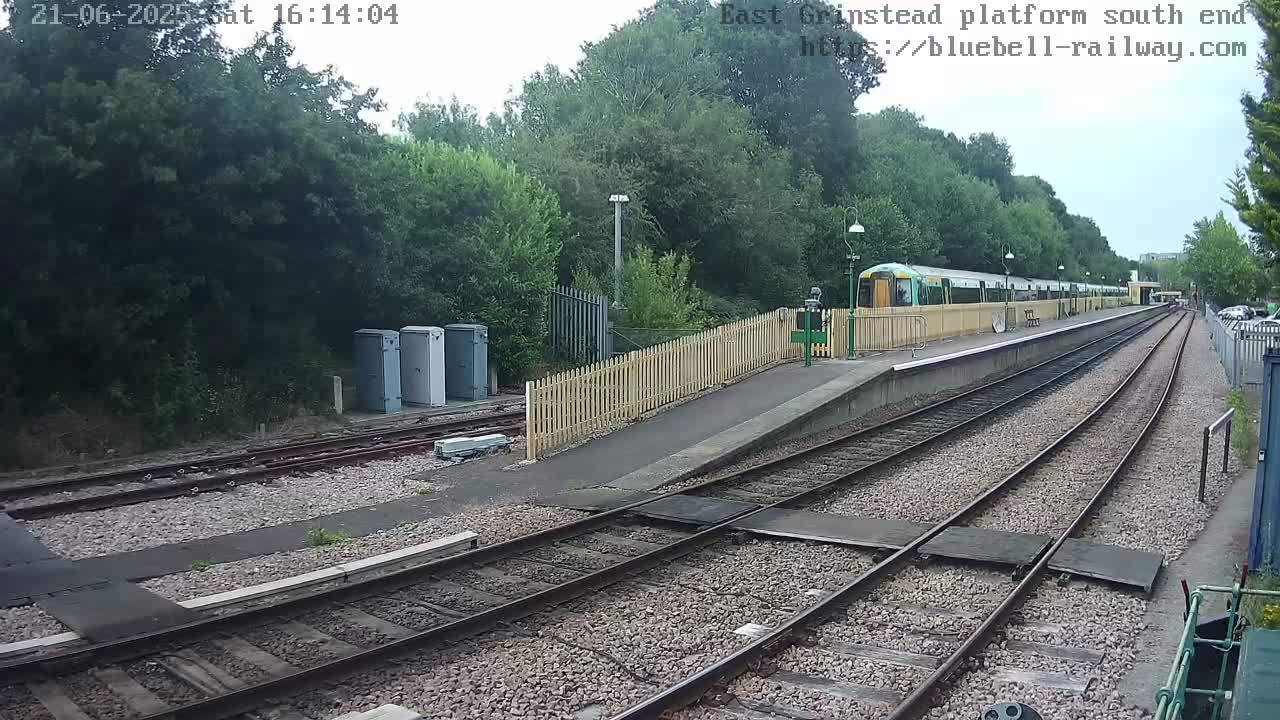 A train is at a station platform next to a wooded area on an overcast day.