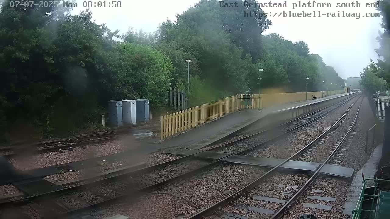 A rain-soaked train platform is visible, with multiple train tracks extending into the distance, bordered by lush green trees.