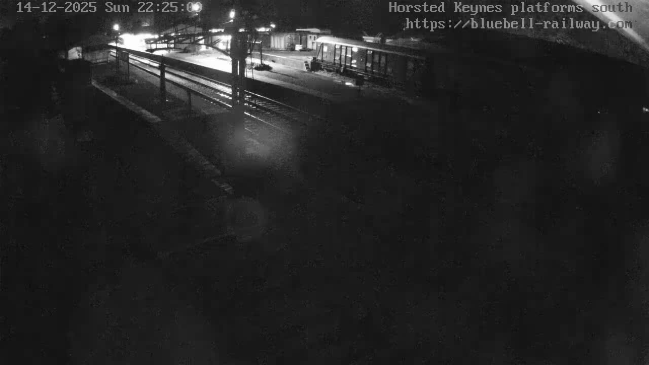 A grainy, monochrome, overhead view captures a misty train station with multiple tracks and platforms at night.