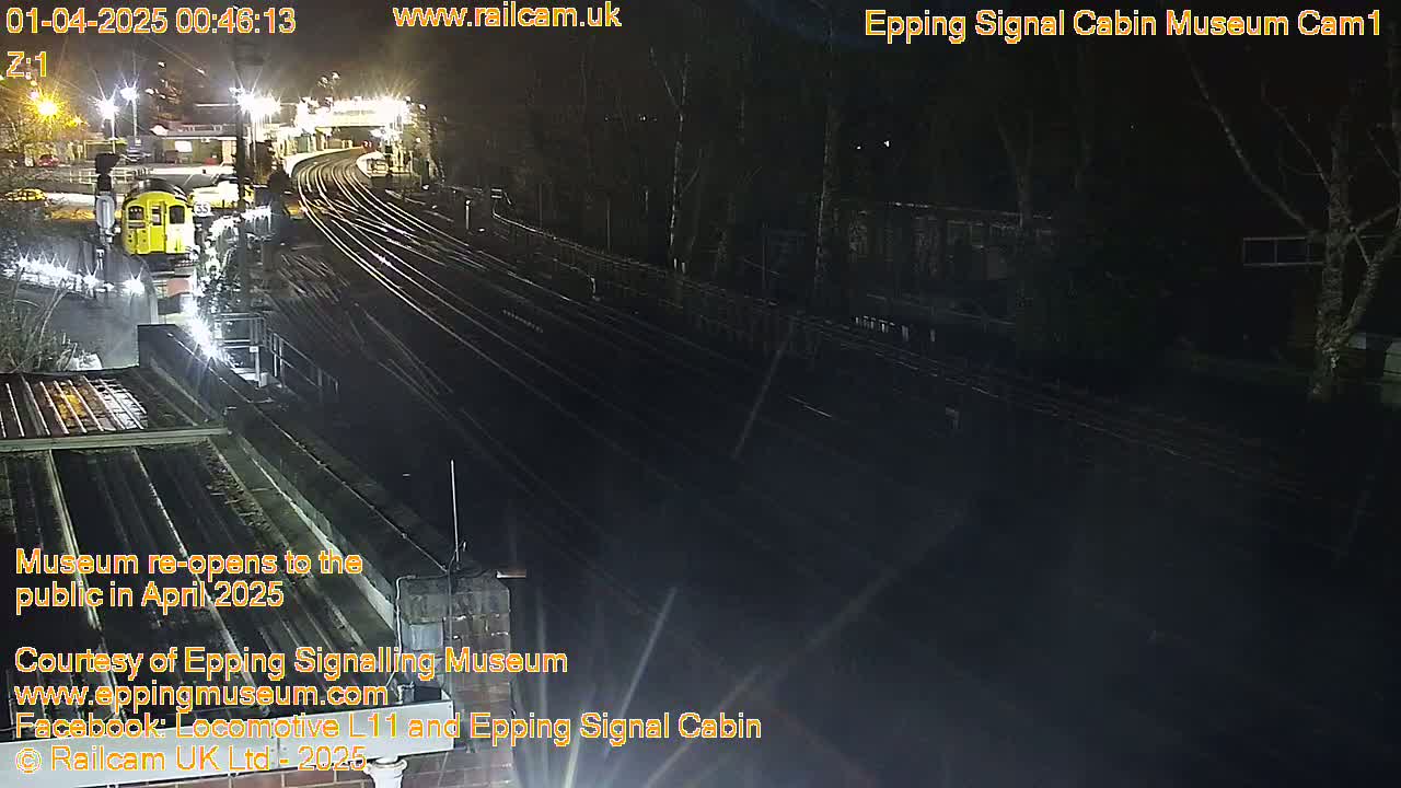 A nighttime, overhead view shows a yellow train stopped on a set of train tracks, surrounded by dark trees and other train infrastructure.