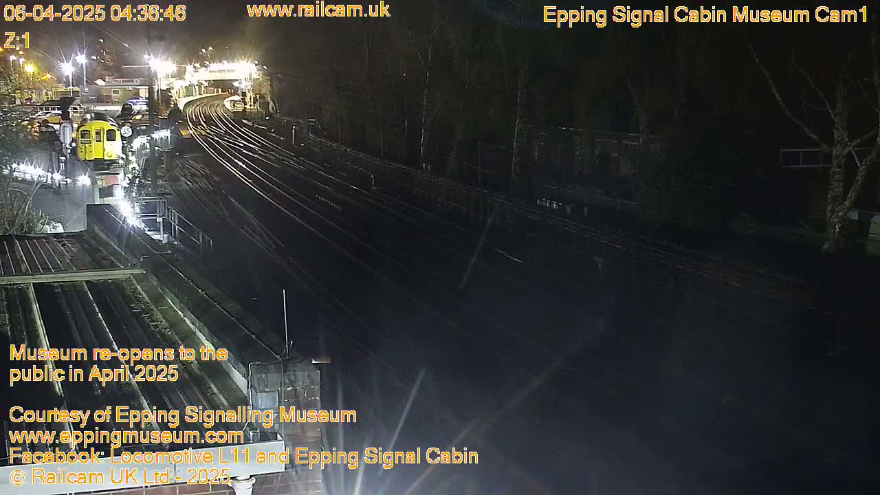A nighttime view of a train station with a yellow train visible, multiple train tracks, and dark trees in the background under artificial light.