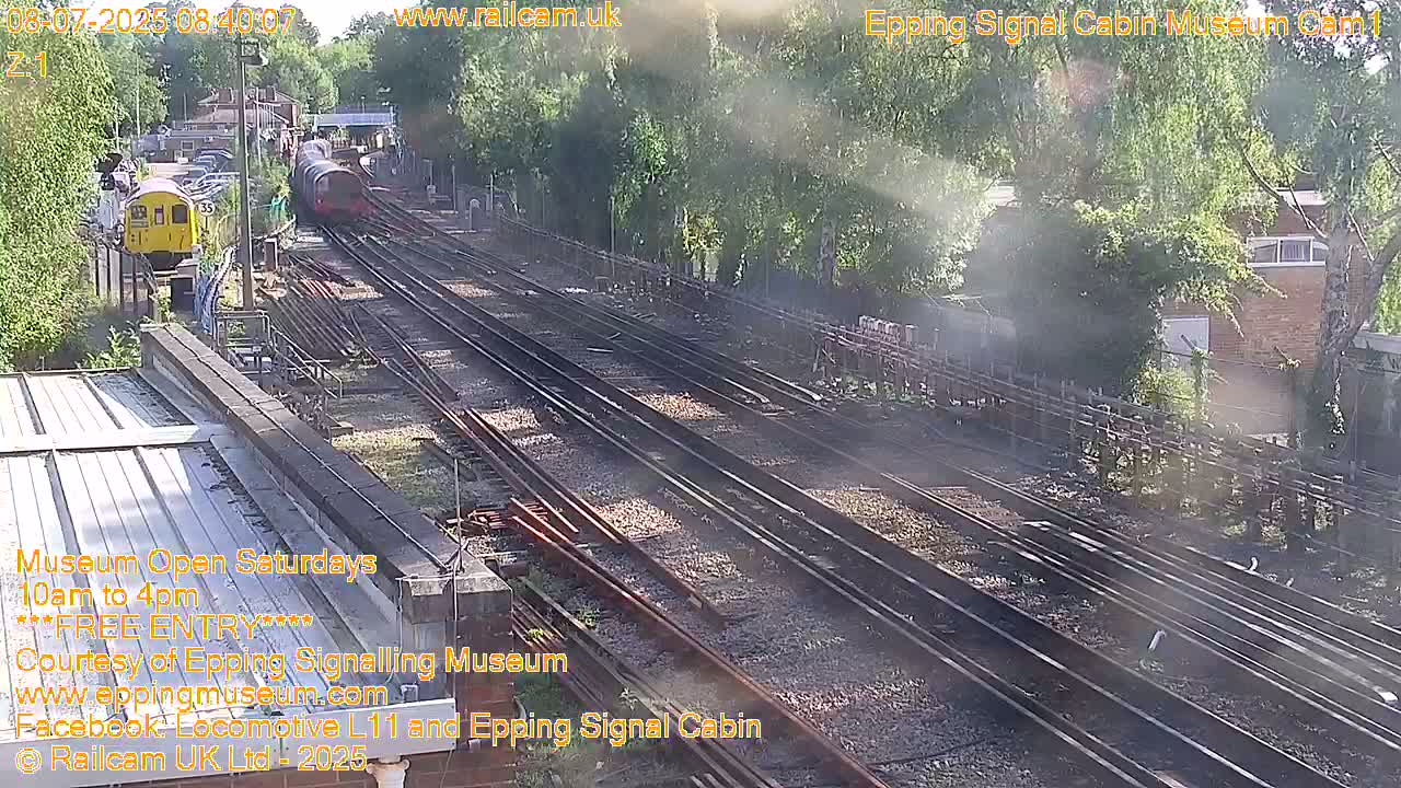 Two trains are visible on multiple railway tracks on a sunny day, with trees and buildings in the background.