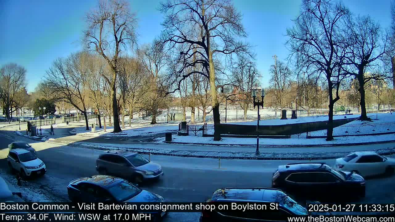 A snow-covered park is visible across a street from several cars driving on a partly sunny day.