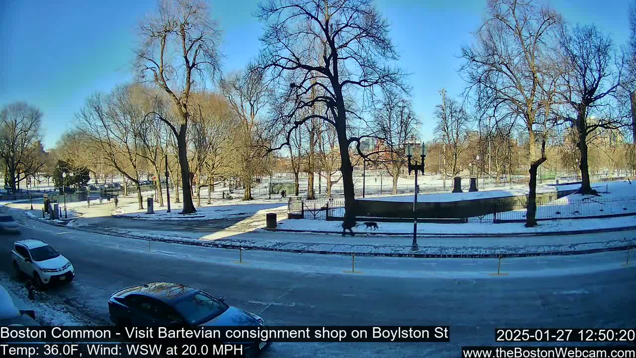 A sunny, snow-covered park with bare trees is visible from a street with cars parked alongside, a person walks a dog in the park on a windy day.