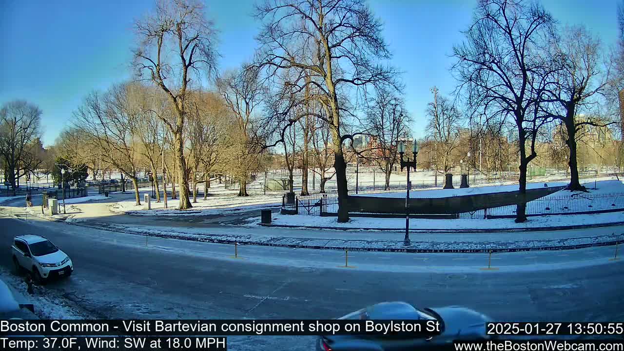 A sunny, snowy scene shows a park with bare trees, a road with a car, and a partly icy roadway under a clear blue sky.