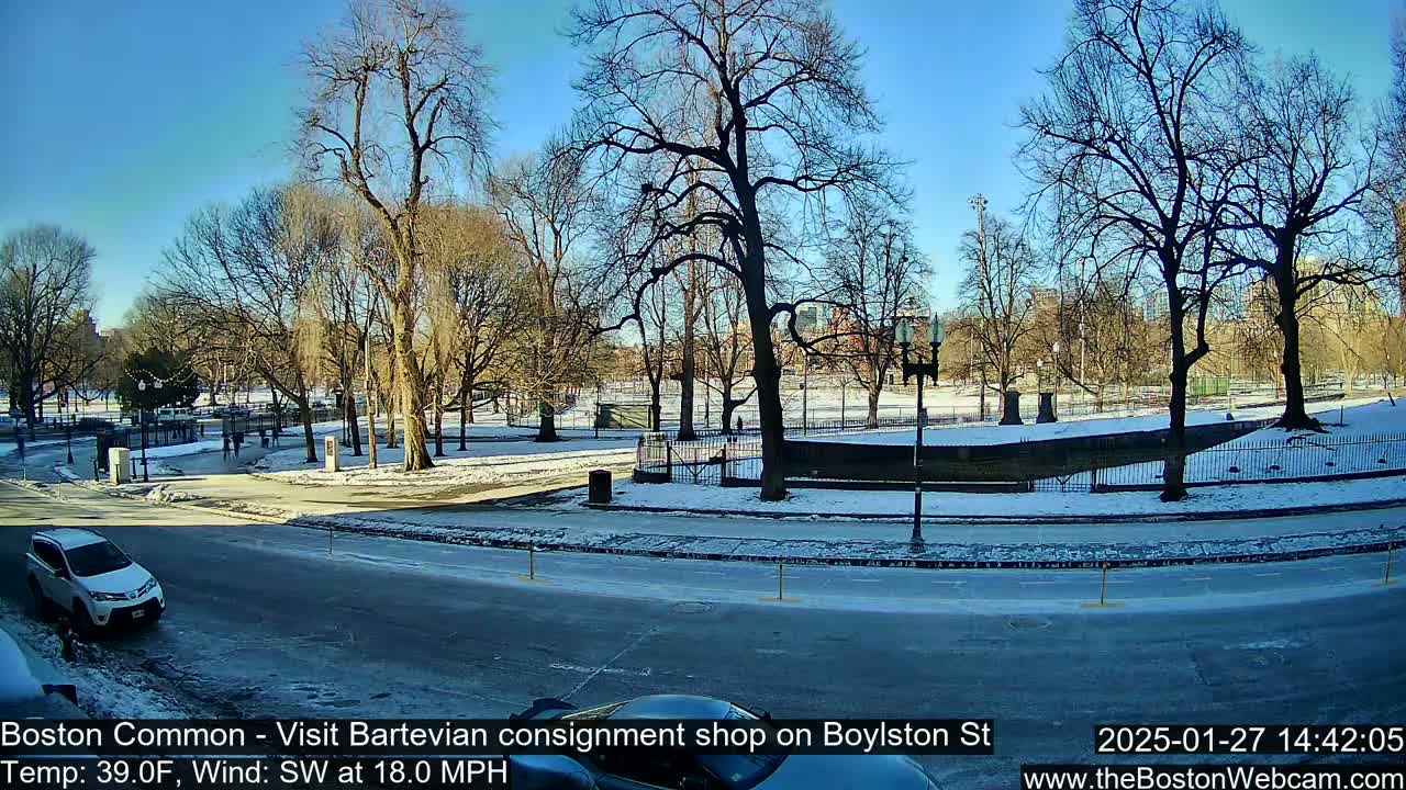 A snow-covered park with bare trees is visible from a street on a sunny, windy day.