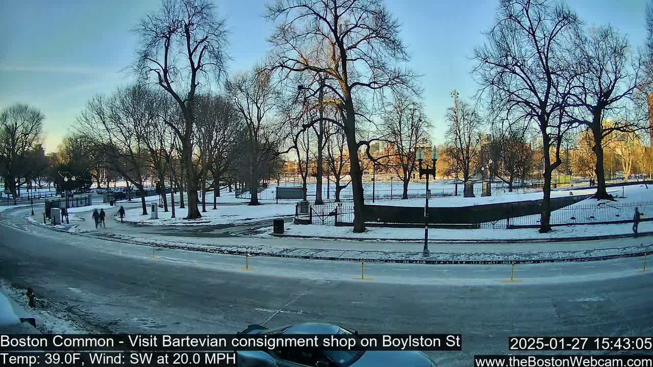 A snow-covered park with bare trees is visible from a street with icy patches, under a mostly clear, bright sky.