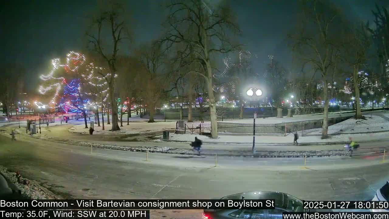 A snow-covered park at night features a large, illuminated Christmas tree and several people walking along a road with a moderate, south-southwesterly wind.