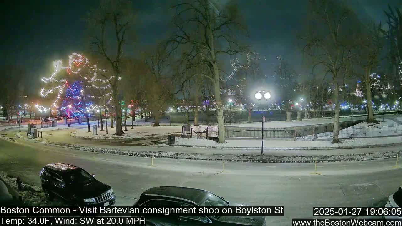 A snow-covered park at night, illuminated by streetlights and a large, brightly lit Christmas tree.