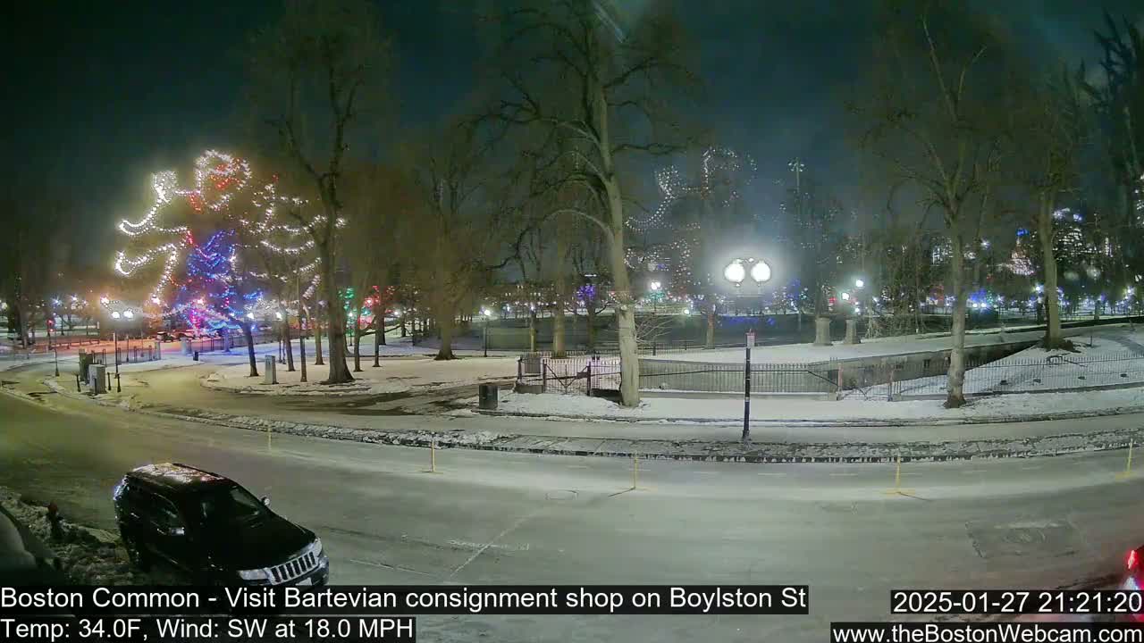 A nighttime scene of a snow-covered park with Christmas lights illuminating trees, a vehicle on a road, and a streetlamp.