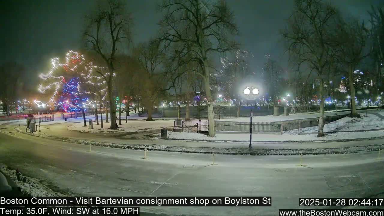 A snow-covered park at night with illuminated holiday decorations on trees, and a street is visible beyond a fence.
