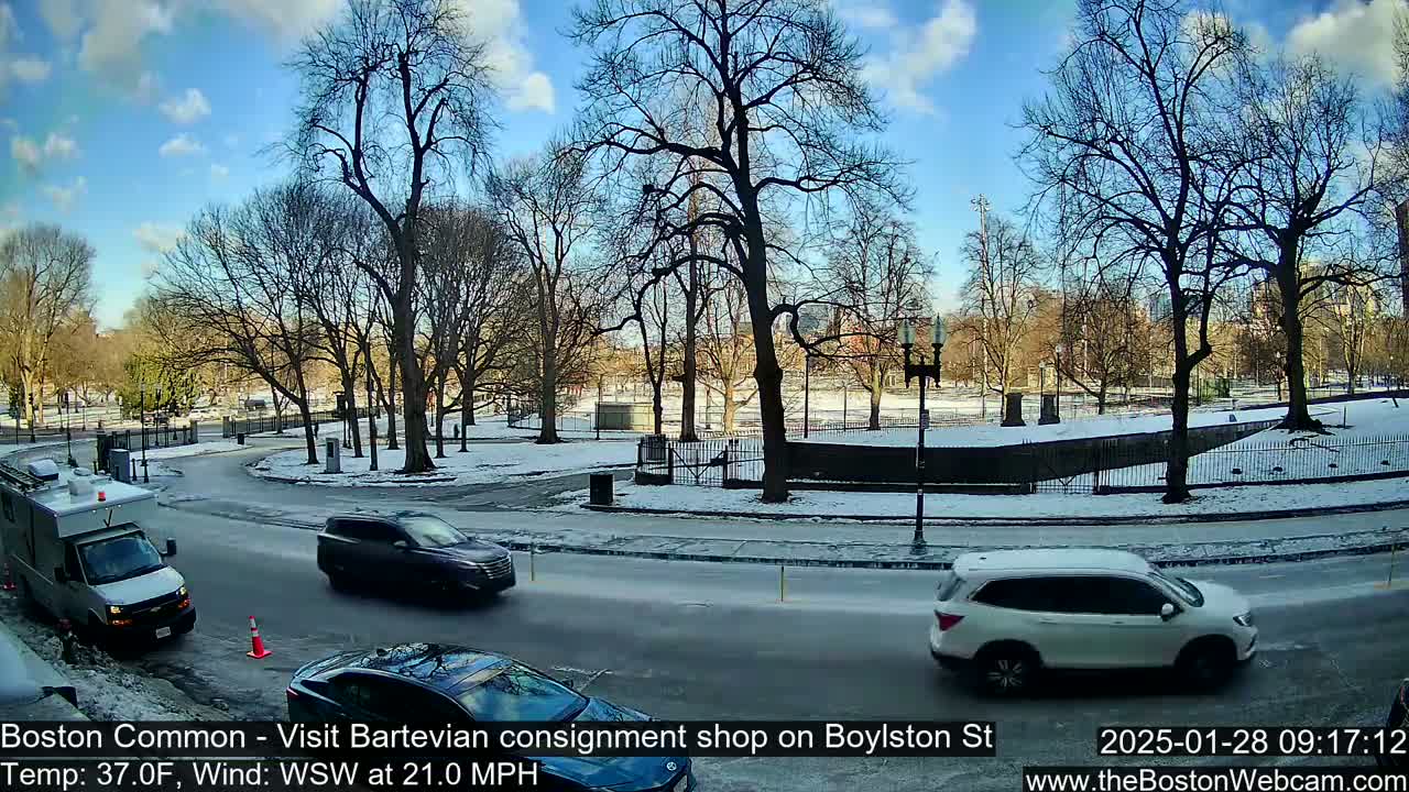 A partly sunny winter scene shows a snow-covered park with bare trees and several vehicles traveling on a roadway bordering the park.